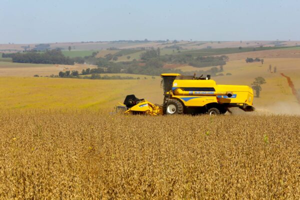 Paraná fecha 2025 com 13,5% de participação na safra nacional de grãos; produção vai aumentar