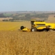 Colheita de soja. Fotos:Jaelson Lucas / Arquivo AEN