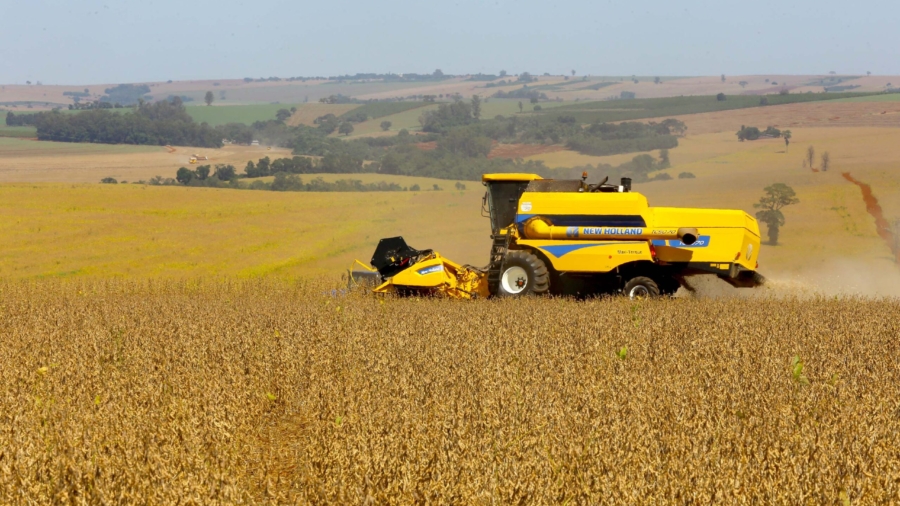 Colheita de soja. Fotos:Jaelson Lucas / Arquivo AEN