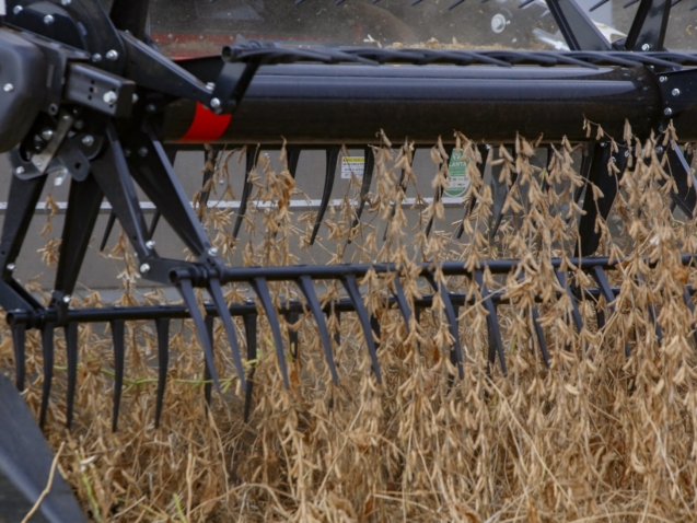 24/02/2021 - Cascavel, colheita de Soja