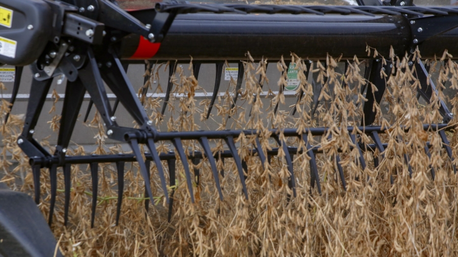 24/02/2021 - Cascavel, colheita de Soja