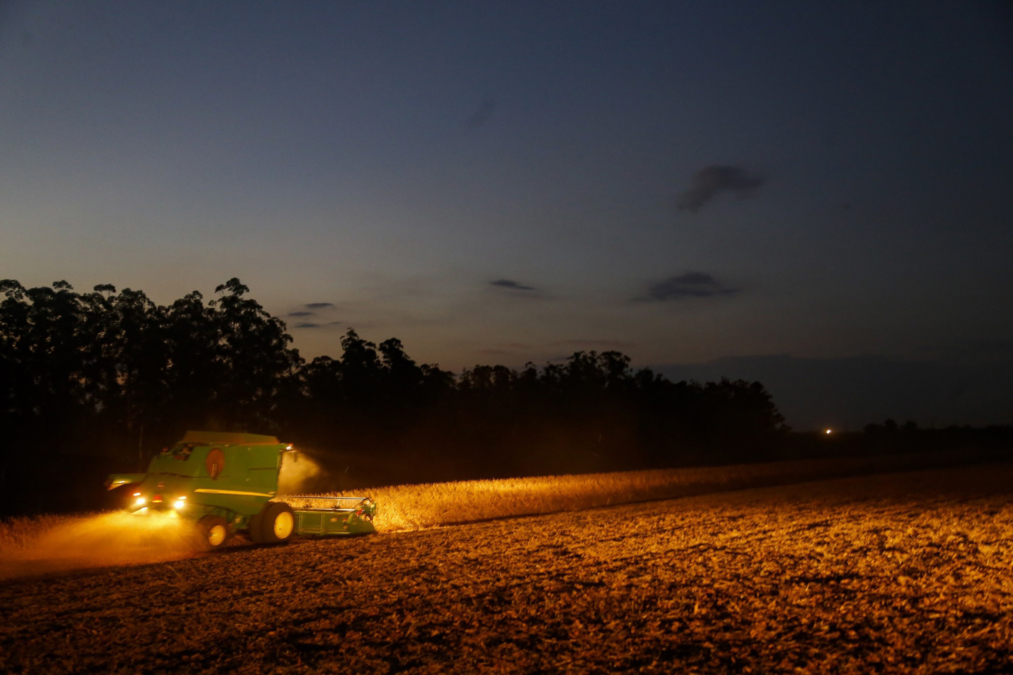 whatsapp_image_2026-01-13_at_15.08.02