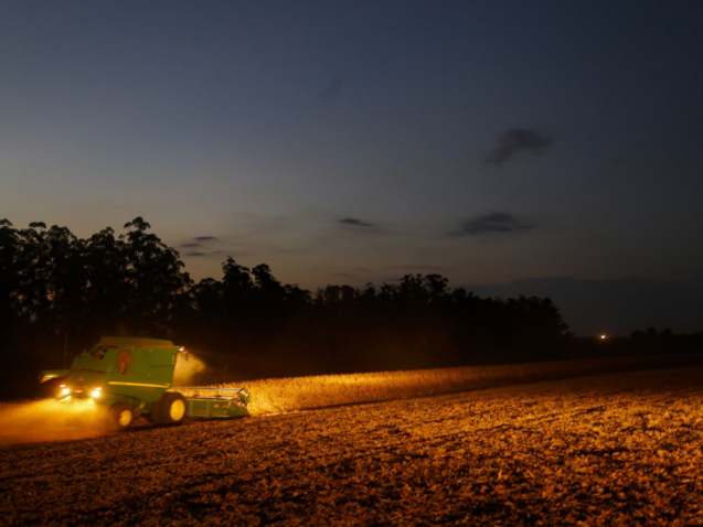 whatsapp_image_2026-01-13_at_15.08.02