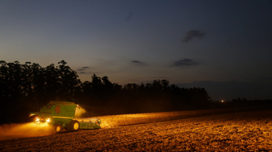 whatsapp_image_2026-01-13_at_15.08.02