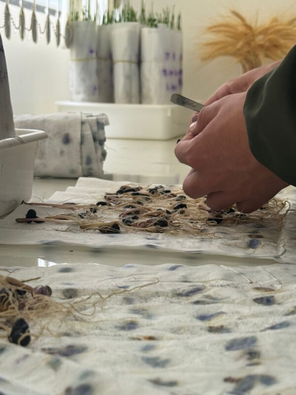 Treinamentos levam conhecimento e maior qualidade aos laboratórios