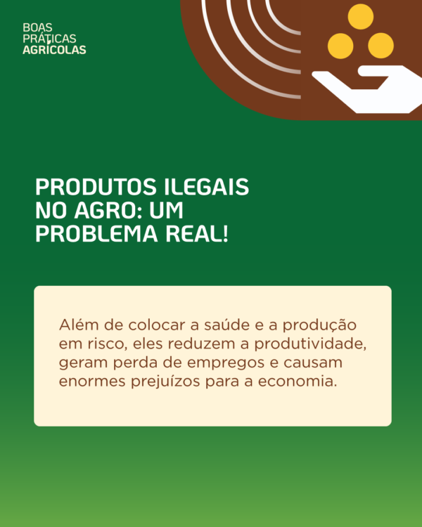 Coalisão contra pirataria de sementes é lançada no Brasil