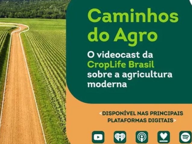 WhatsApp Image 2026-03-12 at 11.09.20