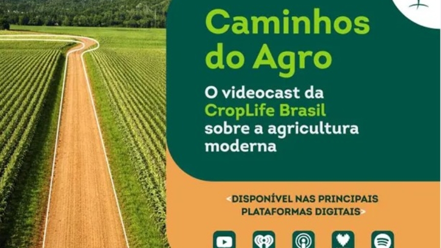 WhatsApp Image 2026-03-12 at 11.09.20