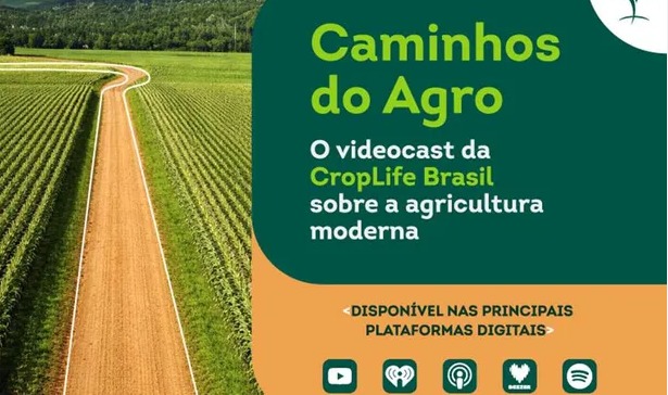 WhatsApp Image 2026-03-12 at 11.09.20