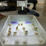 Design sem nome (28)