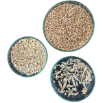 Design sem nome (31)