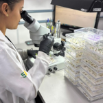 Design sem nome (32)