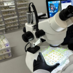 Design sem nome (33)