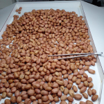 Design sem nome (34)