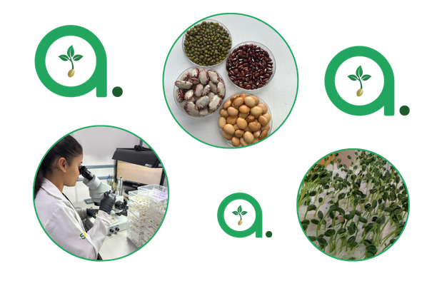 Design sem nome (38)