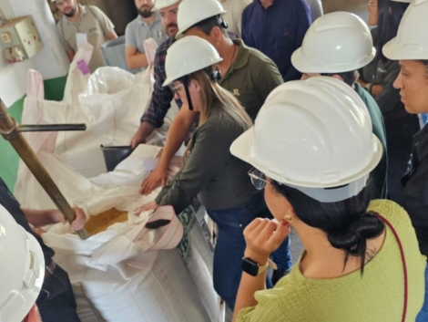 WhatsApp Image 2026-04-27 at 22.17.31 (1)